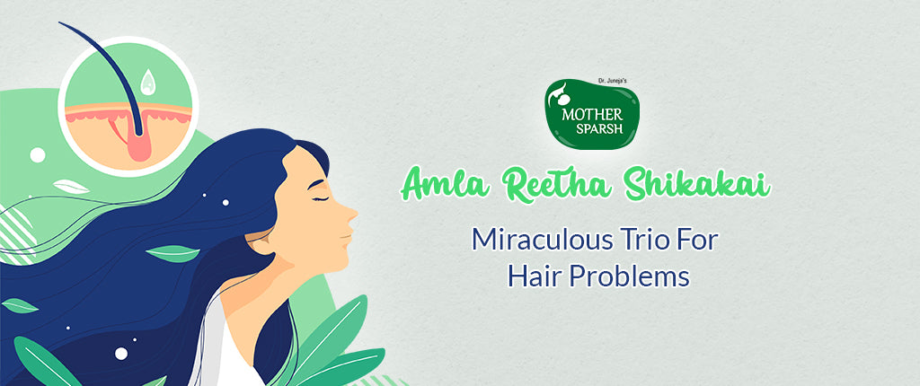 Amla Reetha Shikakai: All FAQs & Benefits for Hair [Explained]