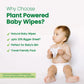 Plant Powered Natural Baby Wipes with Grapefruit